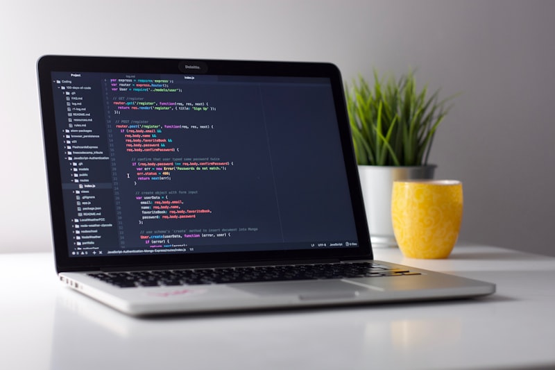 Computer programming on a laptop